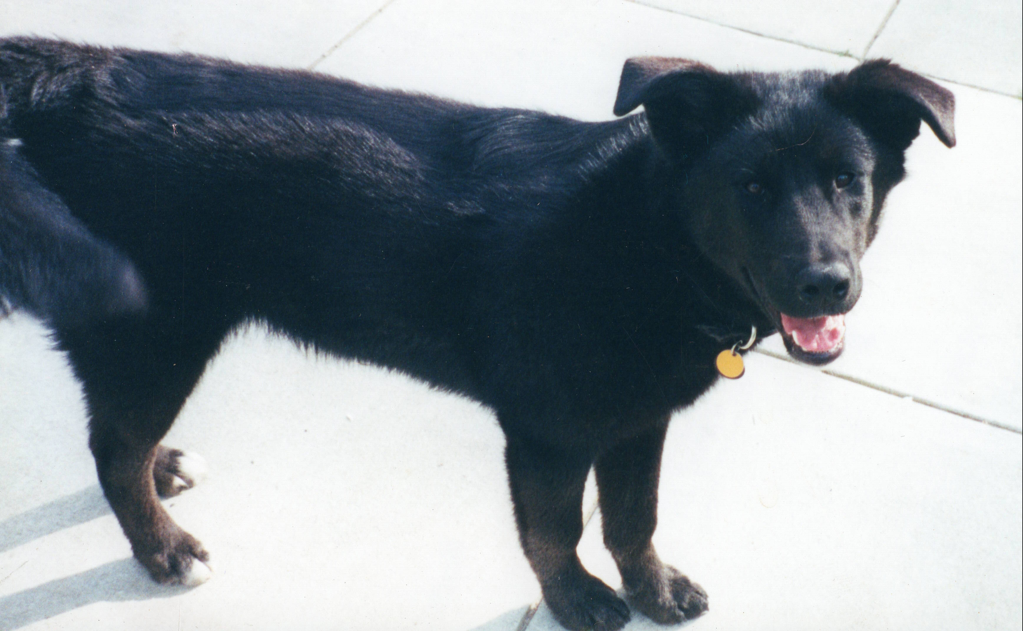 Emmett Ocean Shé, circa 2002