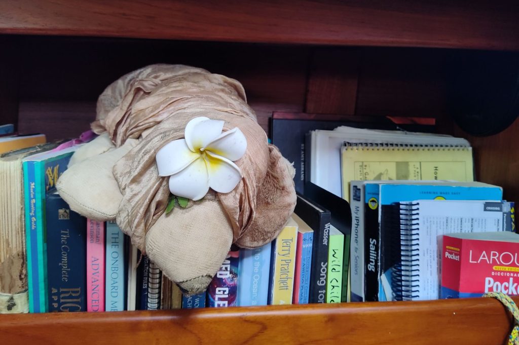 Johnny's Puppy guards Habibi's library, 2024