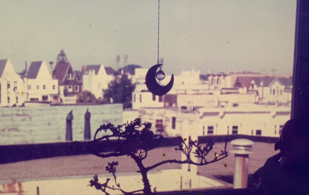 Photo by Shé: view from 54 Parnassus, San Francisco, circa 1984