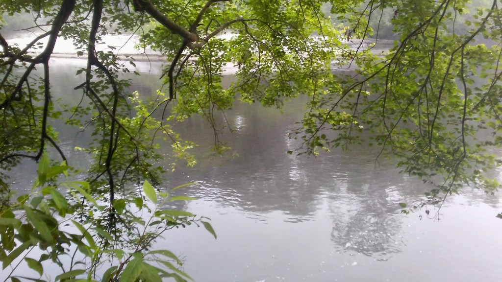 “Swim Spot on the Suwannee” photo by Shé, availed during the Reconciliation Tour 2018